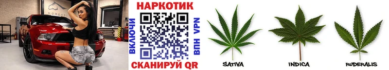 Какие есть наркотики Борисоглебск mega   Кокаин  Alpha PVP  Бошки Шишки  Мефедрон  Гашиш 