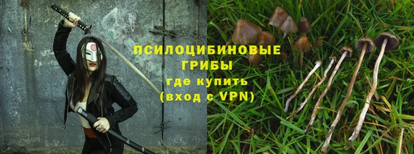 прущий лед Белоозёрский