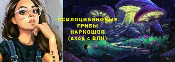 дмт Богородицк