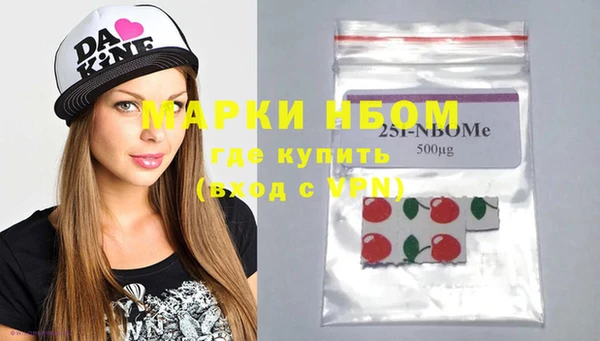 дмт Богородицк